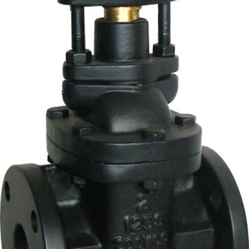 Cast iron gate valve